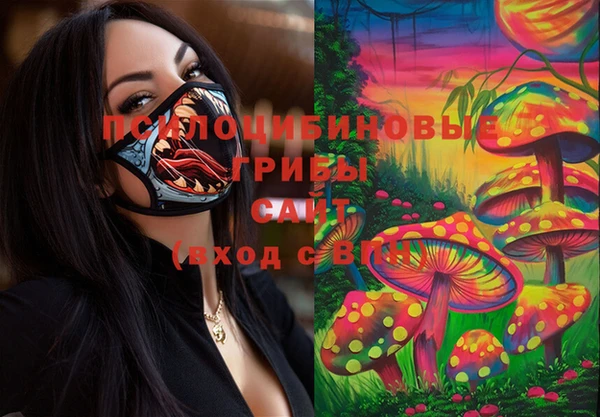 первитин Заводоуковск